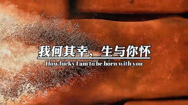 往日不再